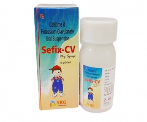 sefix-cv-ds